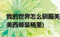 我的世界怎么驯服美西螈(我的世界怎么驯服美西螈装桶里)