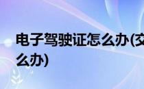 电子驾驶证怎么办(交警不认可电子驾驶证怎么办)