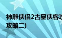 神雕侠侣2古墓侠客攻略(神雕侠侣2古墓侠客攻略二)
