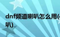 dnf频道喇叭怎么用(dnf频道喇叭和服务器喇叭)