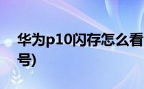 华为p10闪存怎么看(华为p10怎么看闪存型号)
