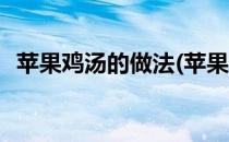 苹果鸡汤的做法(苹果鸡汤的做法大全家常)