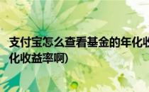 支付宝怎么查看基金的年化收益率(支付宝怎么查看基金的年化收益率啊)