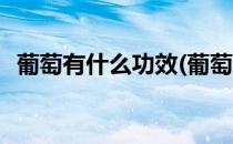 葡萄有什么功效(葡萄籽有什么功效和作用)