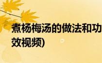 煮杨梅汤的做法和功效(煮杨梅汤的做法和功效视频)