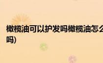橄榄油可以护发吗橄榄油怎么护发大揭秘(橄榄油的可以护发吗)