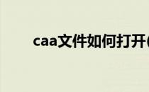 caa文件如何打开(caj文件怎么打开)