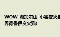 WOW-海加尔山-小德变火猫流程图-燃烧之种-魔兽(魔兽世界德鲁伊变火猫)