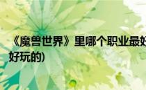 《魔兽世界》里哪个职业最好玩(《魔兽世界》里哪个职业最好玩的)