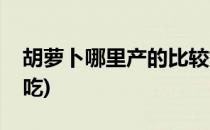 胡萝卜哪里产的比较好吃(胡萝卜哪里产地好吃)