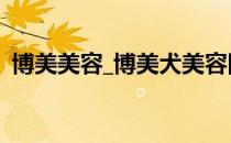 博美美容_博美犬美容图片(博美狗美容图片)