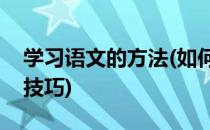 学习语文的方法(如何学好初中语文的方法和技巧)