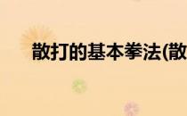 散打的基本拳法(散打的基本拳法图解)
