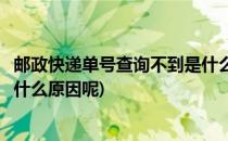 邮政快递单号查询不到是什么原因(邮政快递单号查询不到是什么原因呢)