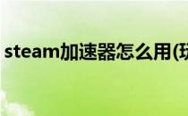 steam加速器怎么用(玩steam用什么加速器)