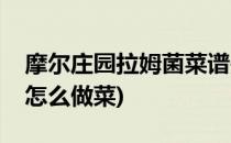摩尔庄园拉姆菌菜谱是什么(摩尔庄园拉姆菌怎么做菜)