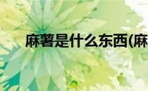 麻薯是什么东西(麻薯是什么材料做的)