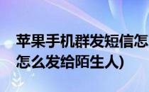 苹果手机群发短信怎么发(苹果手机群发短信怎么发给陌生人)