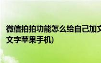 微信拍拍功能怎么给自己加文字(微信拍拍功能怎么给自己加文字苹果手机)