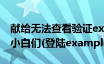 献给无法查看验证example.com邮箱的电脑小白们(登陆example邮箱)