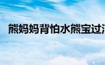 熊妈妈背怕水熊宝过河 面画暖心 母爱伟大