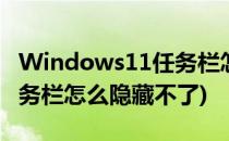 Windows11任务栏怎么隐藏(windows11任务栏怎么隐藏不了)