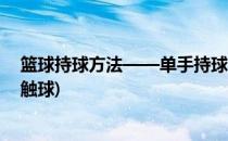 篮球持球方法——单手持球(篮球单手投篮持球应该用手掌触球)