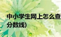 中小学生网上怎么查分(中小学生网上怎么查分数线)