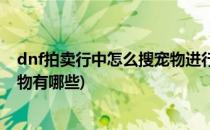 dnf拍卖行中怎么搜宠物进行购买(dnf在拍卖行能买到的宠物有哪些)