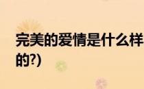 完美的爱情是什么样的(完美的爱情是什么样的?)