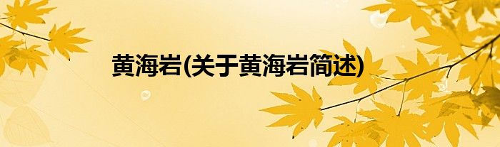 黄海岩(关于黄海岩简述)