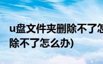 u盘文件夹删除不了怎么办(U盘里的文件夹删除不了怎么办)