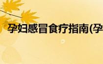 孕妇感冒食疗指南(孕妇感冒食疗指南最新)
