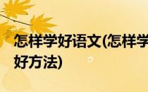 怎样学好语文(怎样学好语文提高成绩 有什么好方法)