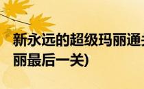 新永远的超级玛丽通关攻略[1](永远的超级玛丽最后一关)