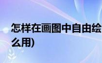 怎样在画图中自由绘画填充图形(画图填充怎么用)
