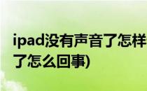 ipad没有声音了怎样恢复声音(ipad声音没有了怎么回事)