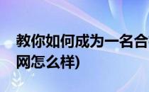 教你如何成为一名合格的新手站长(新手站长网怎么样)