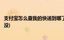 支付宝怎么查我的快递到哪了(支付宝怎么查我的快递到哪了没)