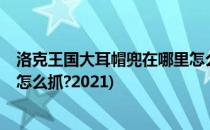 洛克王国大耳帽兜在哪里怎么抓?(洛克王国大耳帽兜在哪里怎么抓?2021)