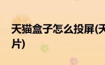天猫盒子怎么投屏(天猫盒子怎么投屏手机照片)