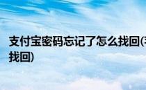支付宝密码忘记了怎么找回(苹果手机支付宝密码忘记了怎么找回)
