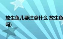 放生鱼儿要注意什么 放生鱼有什么讲究(放生鱼有什么讲究吗)