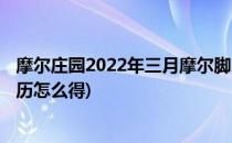 摩尔庄园2022年三月摩尔脚印位置攻略(摩尔庄园2020脚印历怎么得)