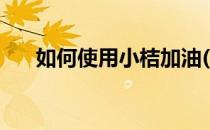 如何使用小桔加油(小桔加油怎么加油)