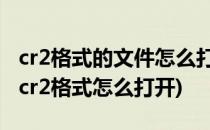 cr2格式的文件怎么打开(cr2是什么格式文件 cr2格式怎么打开)