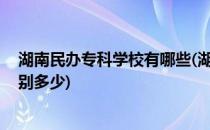湖南民办专科学校有哪些(湖南民办专科学校有哪些 学费分别多少)