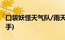 口袋妖怪天气队/雨天队(口袋妖怪雨天队天气手)