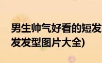 男生帅气好看的短发发型(男生帅气好看的短发发型图片大全)