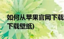 如何从苹果官网下载itunes(如何从苹果官网下载壁纸)